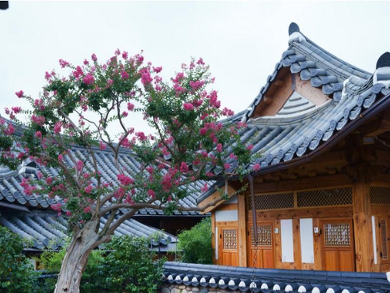 Dajeong Guesthouse Čondžu Exteriér fotografie